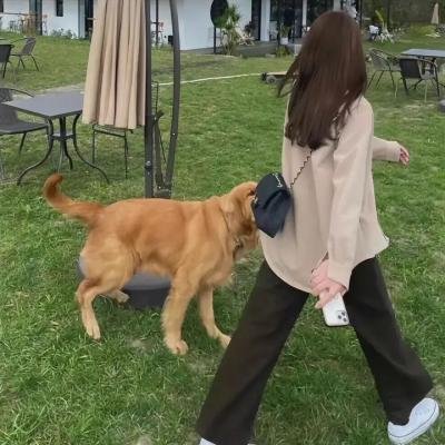 追忆维茨托克